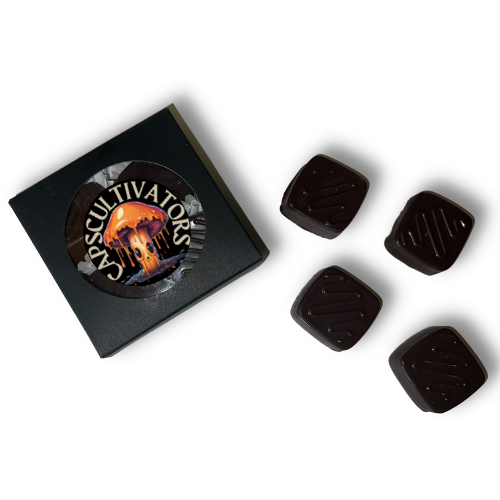 DARK CHOCOLATE HANDCRAFTED CHOCOLATES- 4 PIECE BOX (2GRAMS TOTAL)