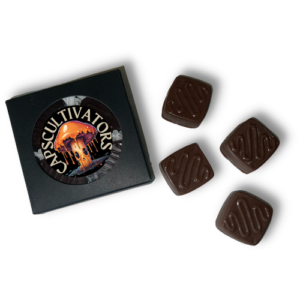 MILK CHOCOLATE HANDCRAFTED CHOCOLATES- 4 PIECE BOX (2GRAMS TOTAL)