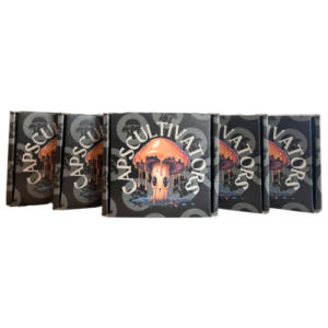 BUNDLE 4 (5 NINE PIECE BOXES)